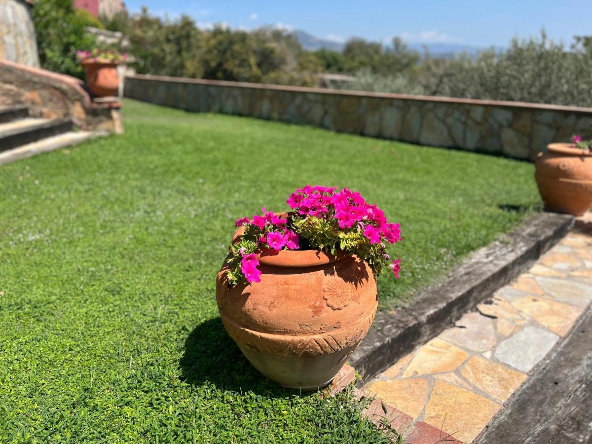 Masia Can Viver - Olive Oil Tourism B&B Bigues I Riells Екстериор снимка