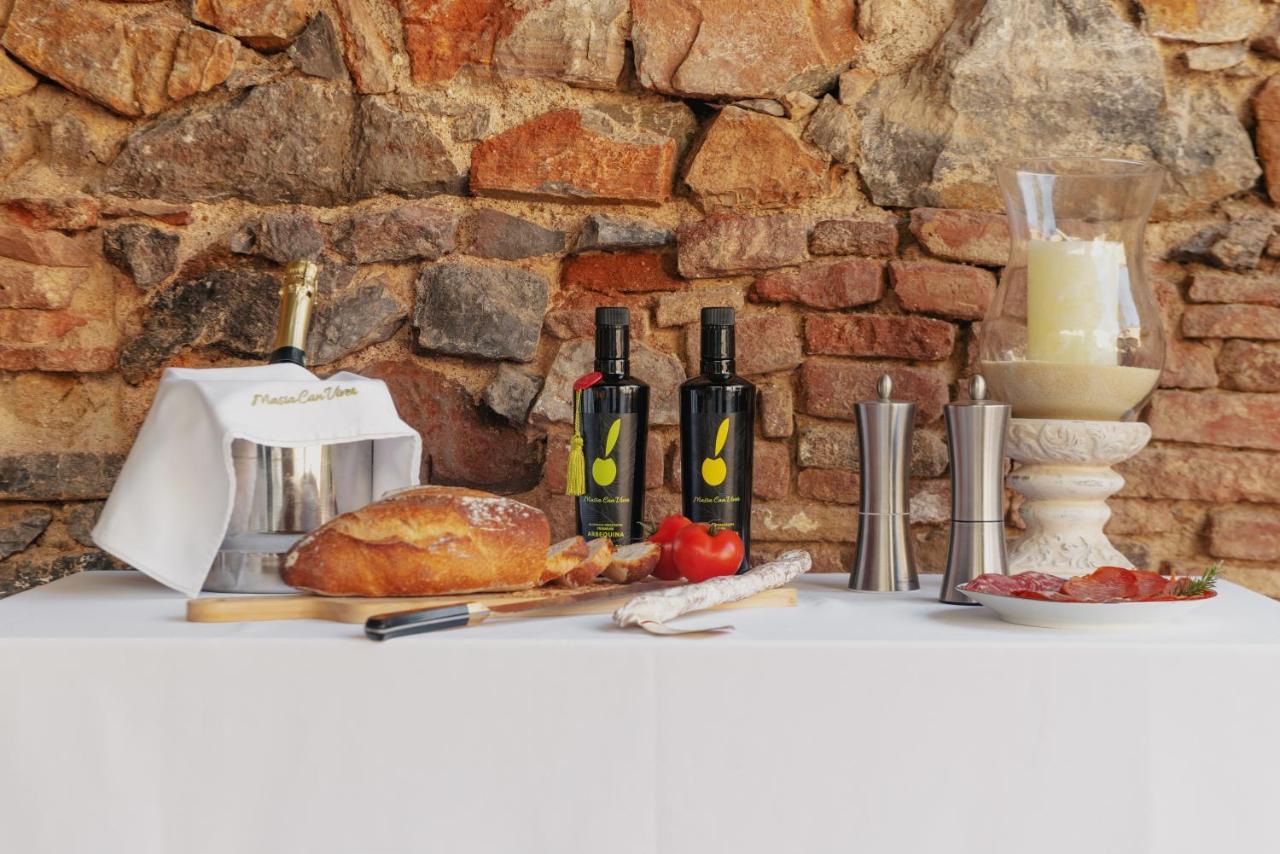 Masia Can Viver - Olive Oil Tourism B&B Bigues I Riells Екстериор снимка