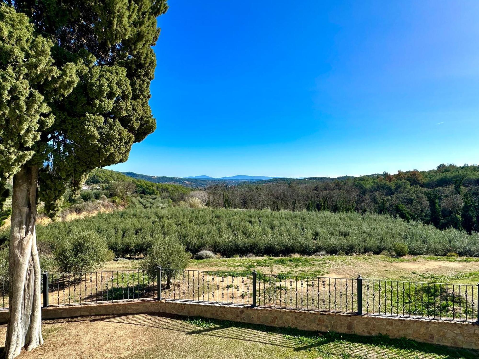 Masia Can Viver - Olive Oil Tourism B&B Bigues I Riells Екстериор снимка